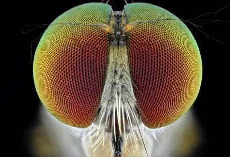 1702610577162847.jpg DM_20231215111413_003.jpg